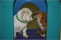 daycare pic 131 - macy
